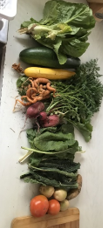 /uploaded_files/media/gallery/1686855319market garden veg.png